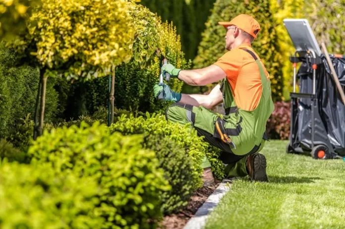 Gardening-Service Lawn Care Edina