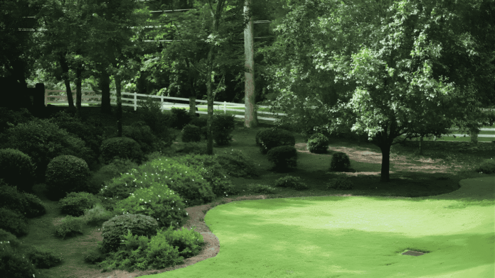 Cutting Edge Landscaping