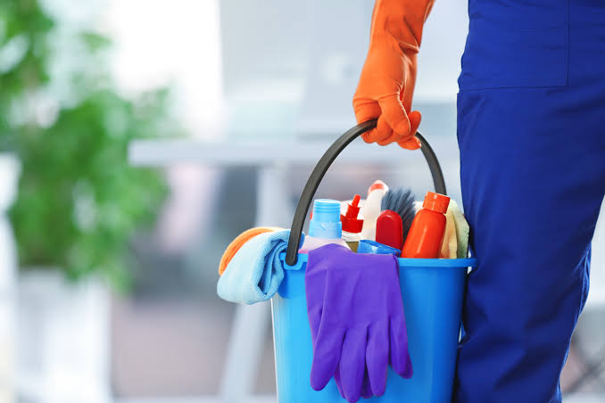 Professional Cleaner