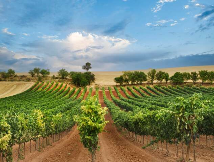 Iberia private wine tours