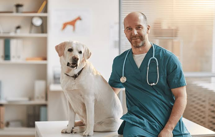 Disability insurance for veterinarians