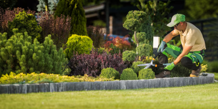 Landscape Beauty and Functionality