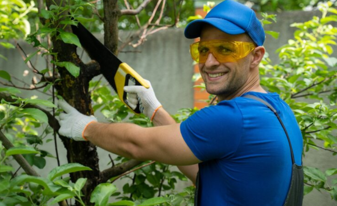 Property Maintenance Services