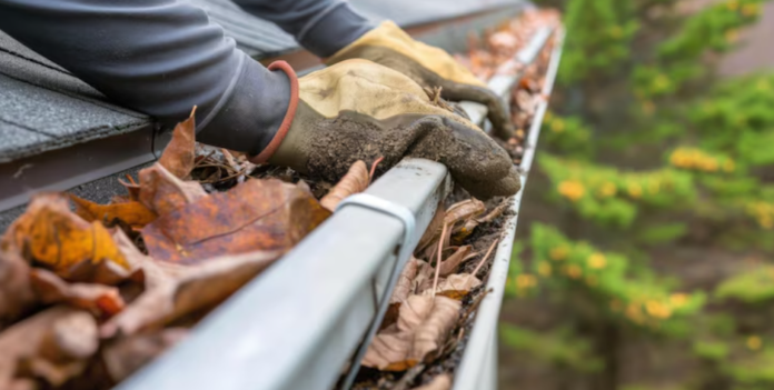Home drainage system maintenance