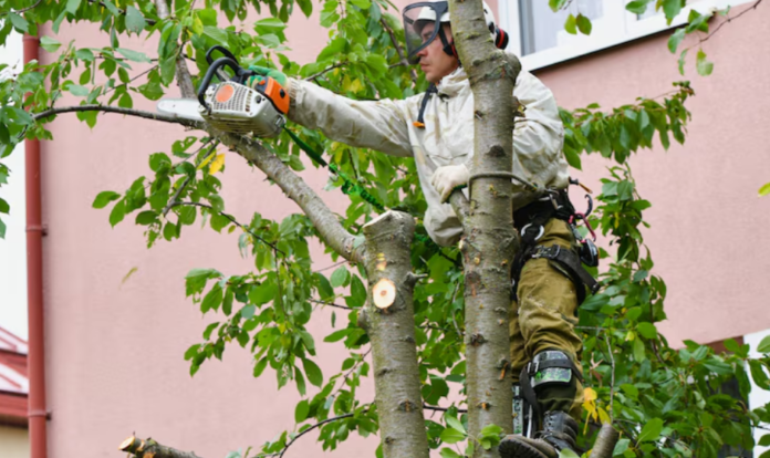 Emergency tree service