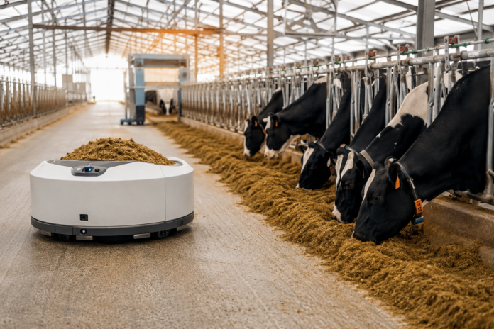 dairy farm automation