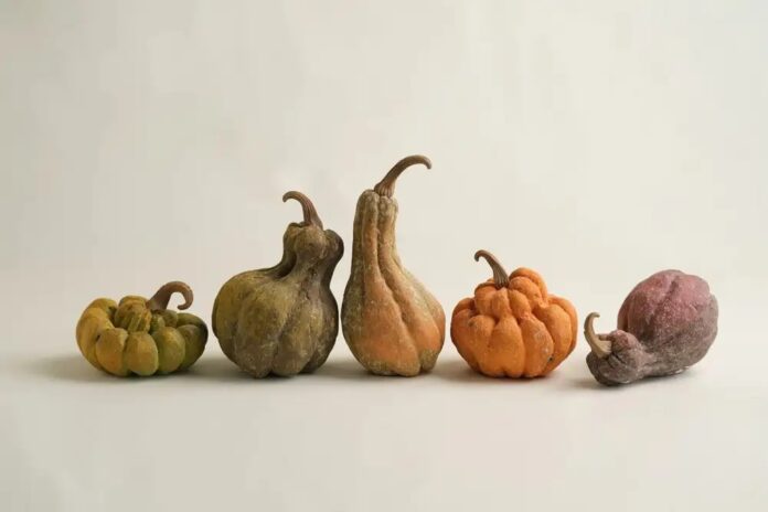 Beyond Halloween: How Handmade Ceramic Pumpkins Create a Timeless Fall Home Atmosphere