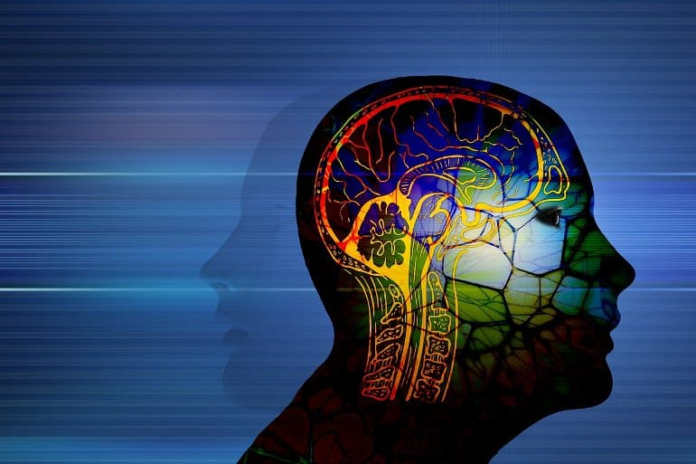 How Trauma Changes the Brain and Body
