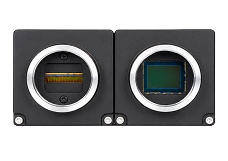 Linear Scan