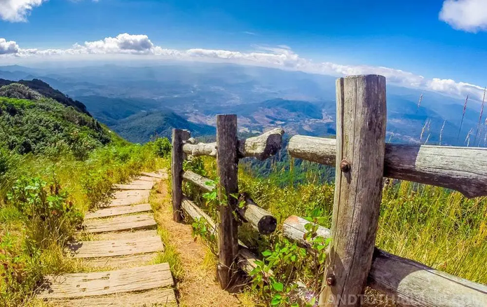 What Doi Inthanon Actually Feels Like: The Sensory Journey to Thailand's Highest Point