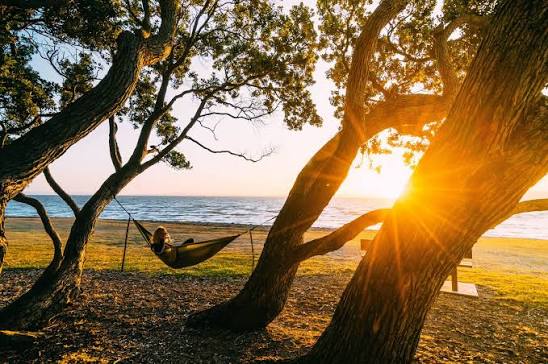 things to do in Thames NZ