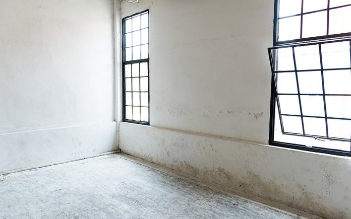 mould remediation