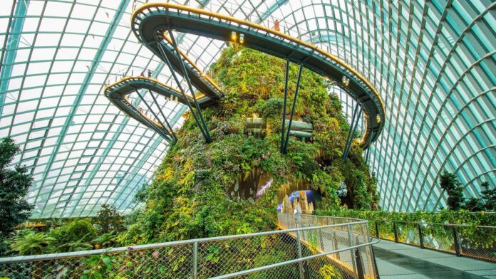 Gardens by the Bay’s Cloud Forest in Singapore