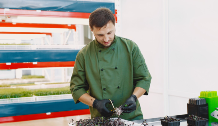 Why Nutralabs is Brisbane's Leading Choice for Contract Food Manufacturing