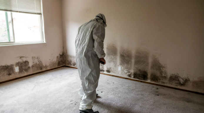certified mold treatment