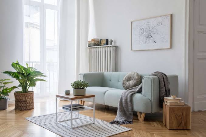What Is Hiding in Your Couch Before Holiday Guests Arrive?